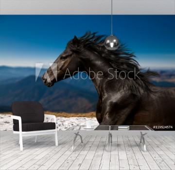 Bild på Black Horse portrait runs on the mountains and blue sky background